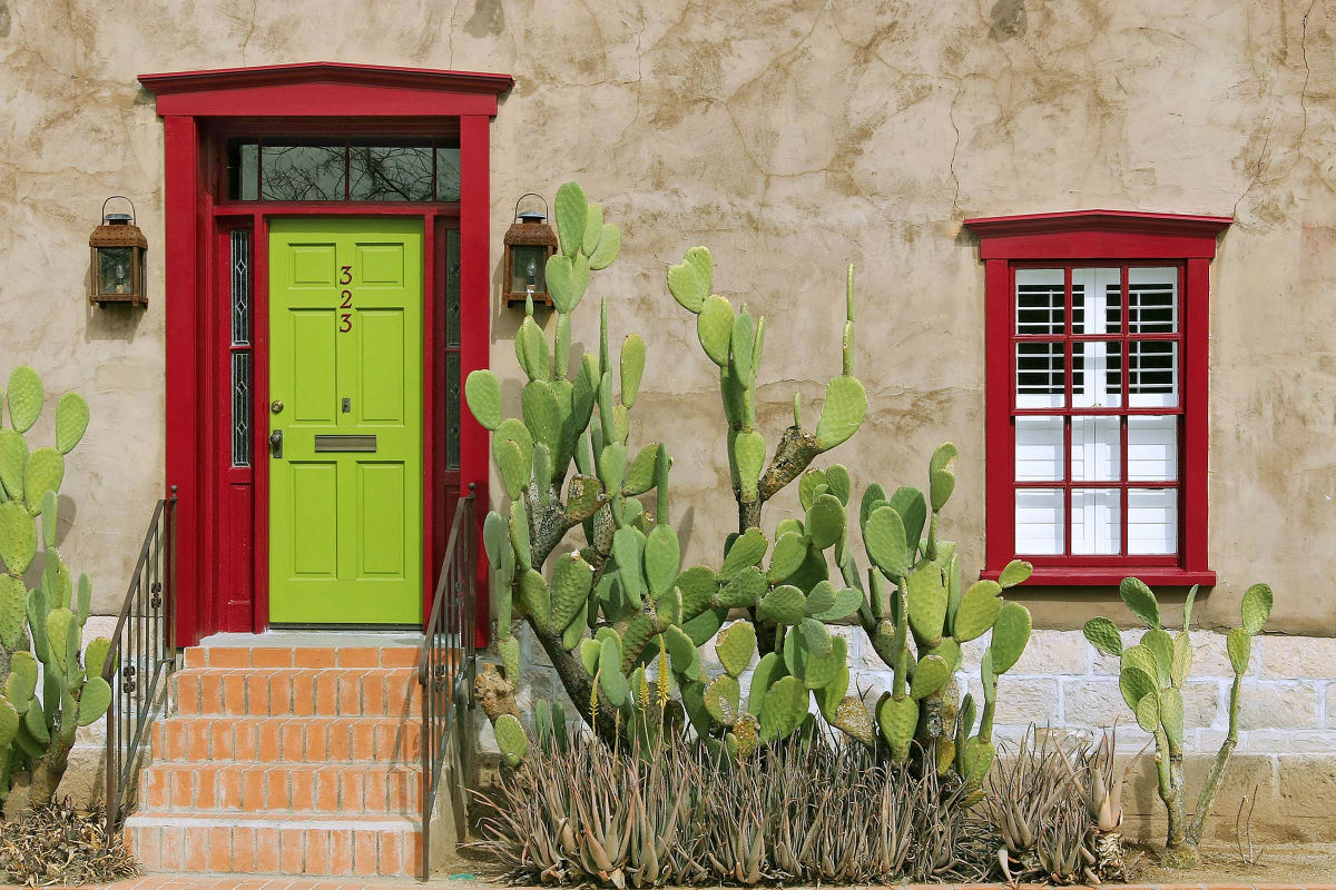 Cacti out the front of an old building with colourful door and window